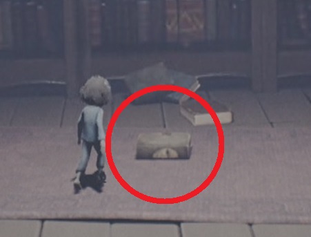 レディの仮面の本