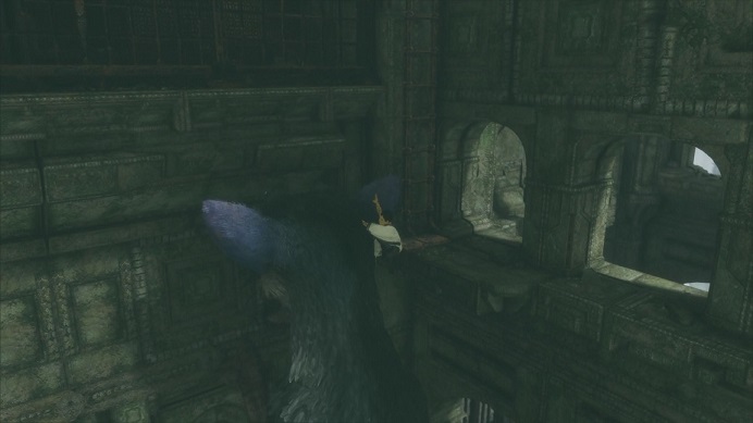 トリコに指示出し