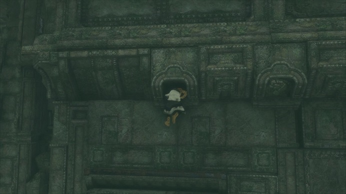 トリコに指示出し