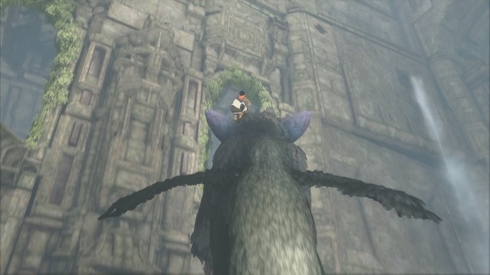 トリコでジャンプして上へ