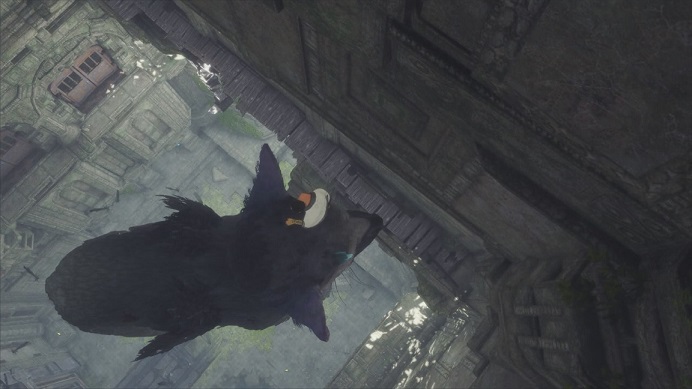 トリコににつかまってジャンプ