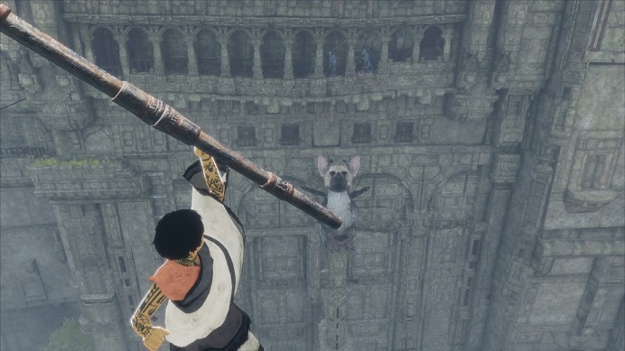 振り返るとトリコが