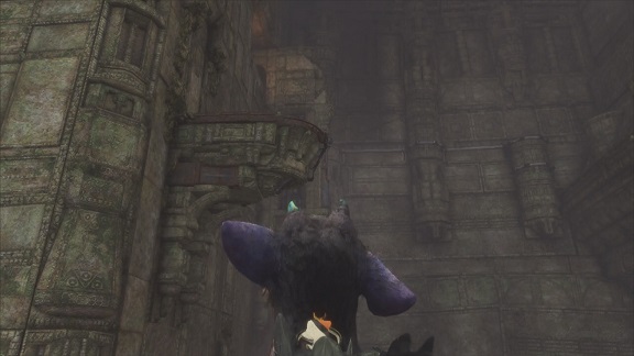 丸屋根から飛ぶ