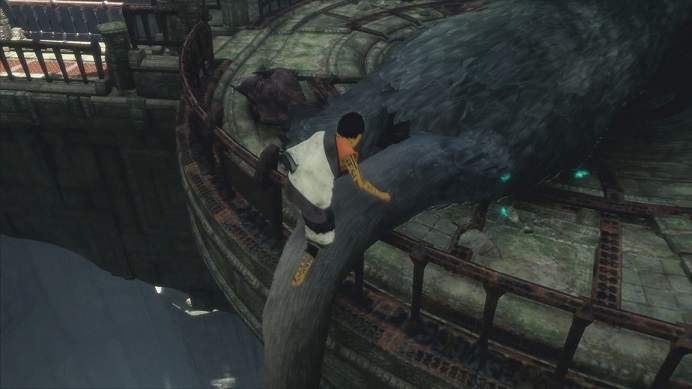 トリコの尻尾から下へ